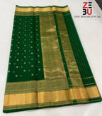 Nature's Grace- green chanderi silk saree