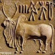 Ancient Indus Valley Civilization seal with bull and script